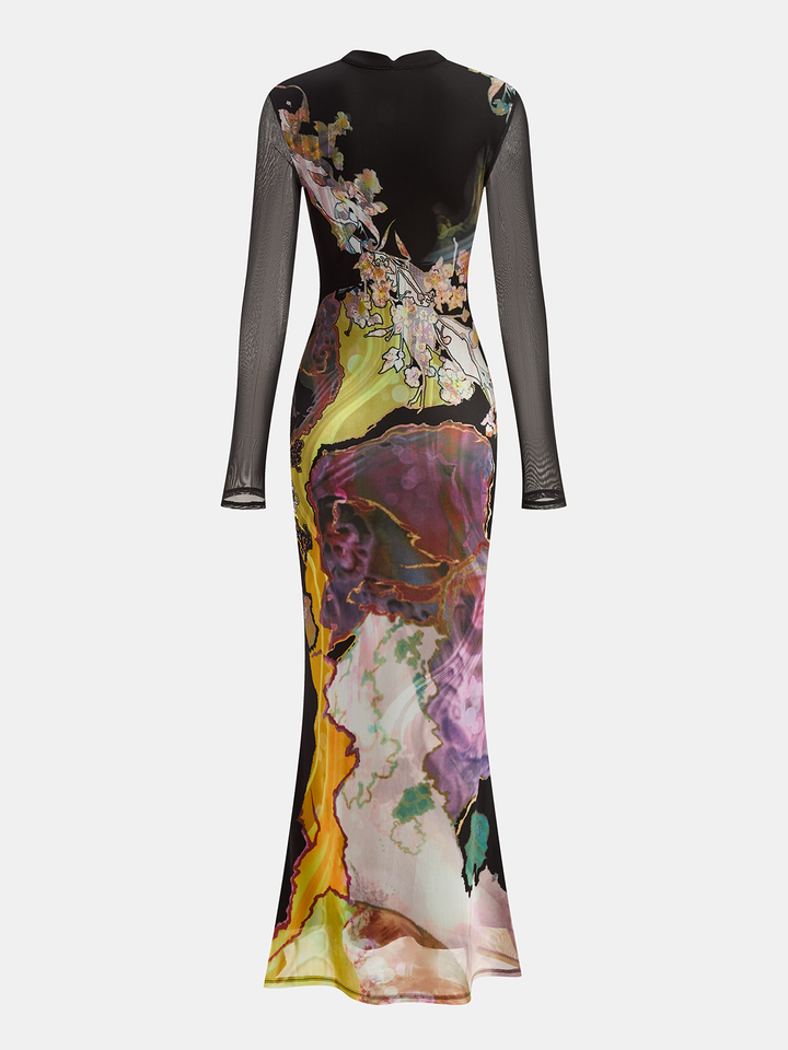 Mesh Long Sleeve Floral Print Maxi Dress